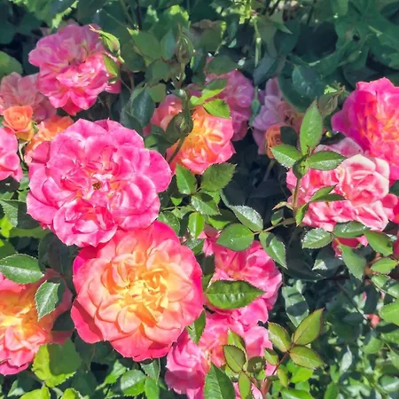 Marit - 1-5km From The Sea By Interhome * 넥소