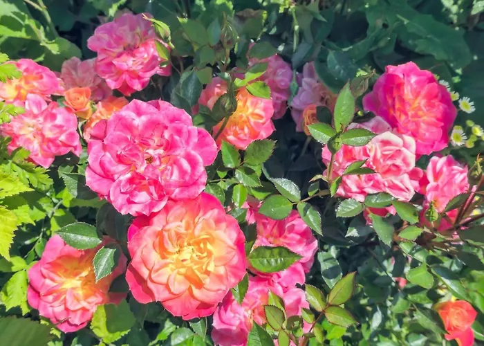 Marit - 1-5km From The Sea By Interhome * 넥소